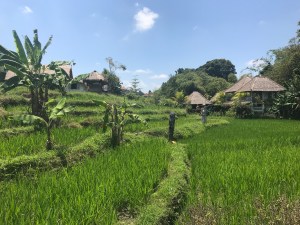 70B2BECF-C9EE-4CCE-BFF3-BD0CD9EC15BC