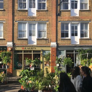 Colombia Road Flower Market, London