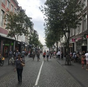 Blick in die Innenstadt von Maastricht