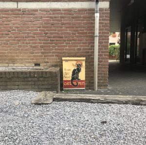 Bild einer Katze auf einem Stromkasten in Maastricht