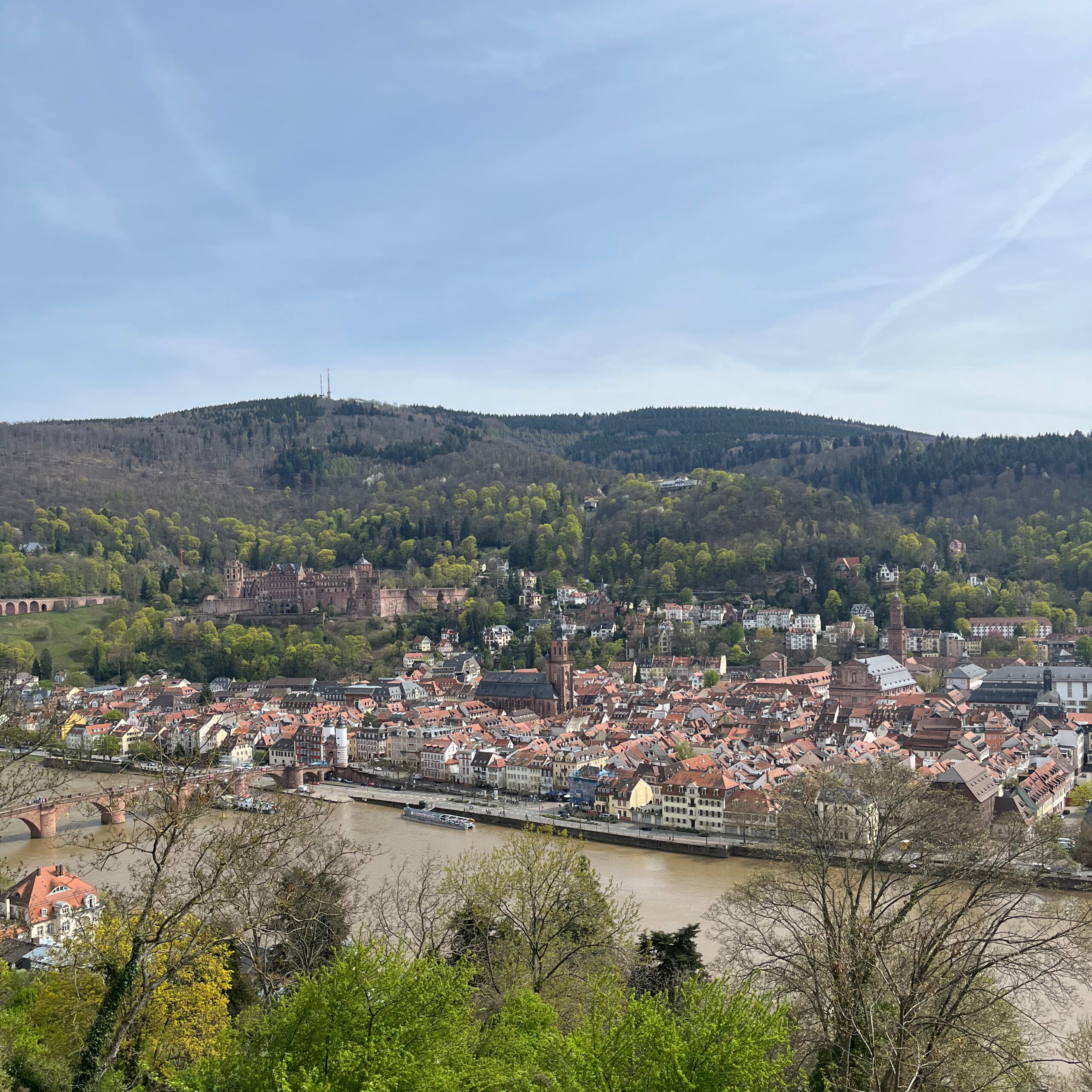 Blick auf Heidelberg vom Philosophenweg