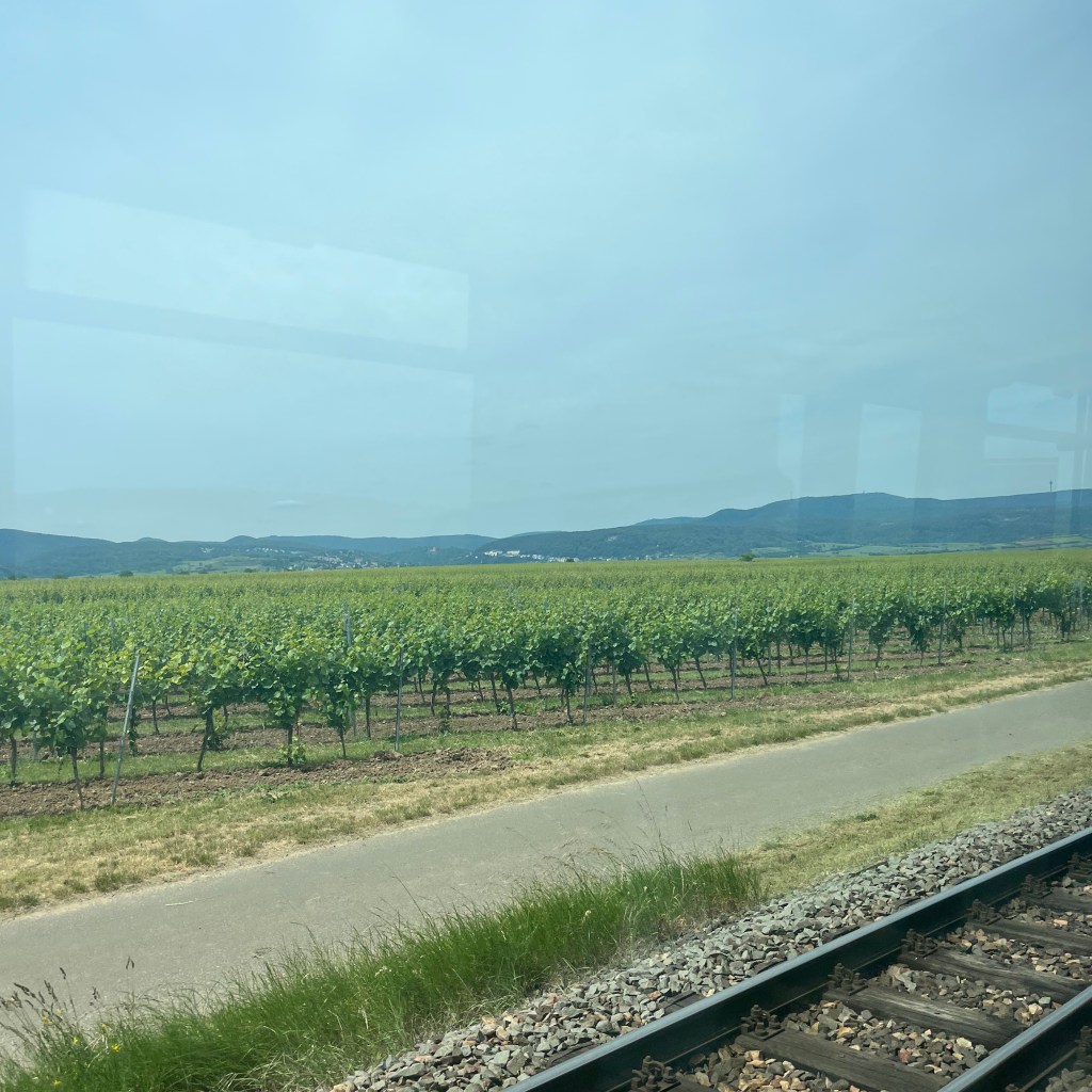 Blick aus der Straßenbahn auf dem Weg nach Bad Dürkheim