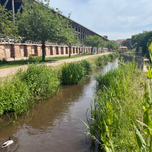 Bach vor der Saline in Bad Dürkheim