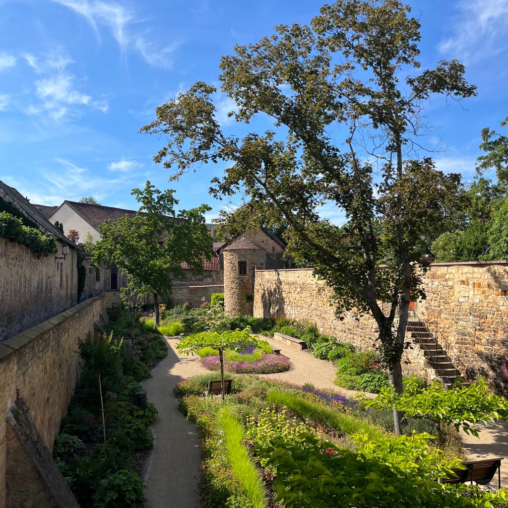 Blick auf den Garten in Deidesheim