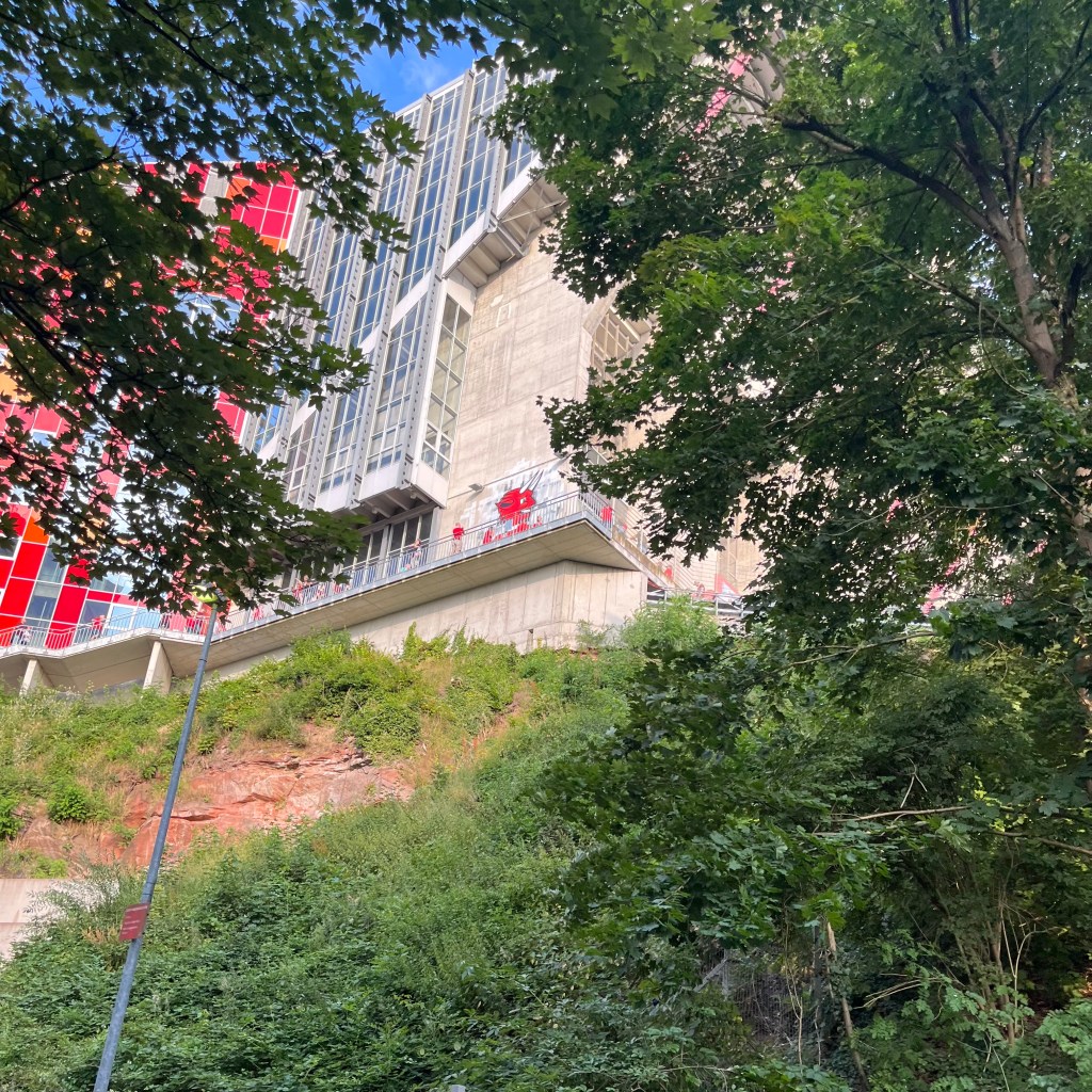 Blick von unten auf das Frank-Walter-Stadion, Kaiserslautern