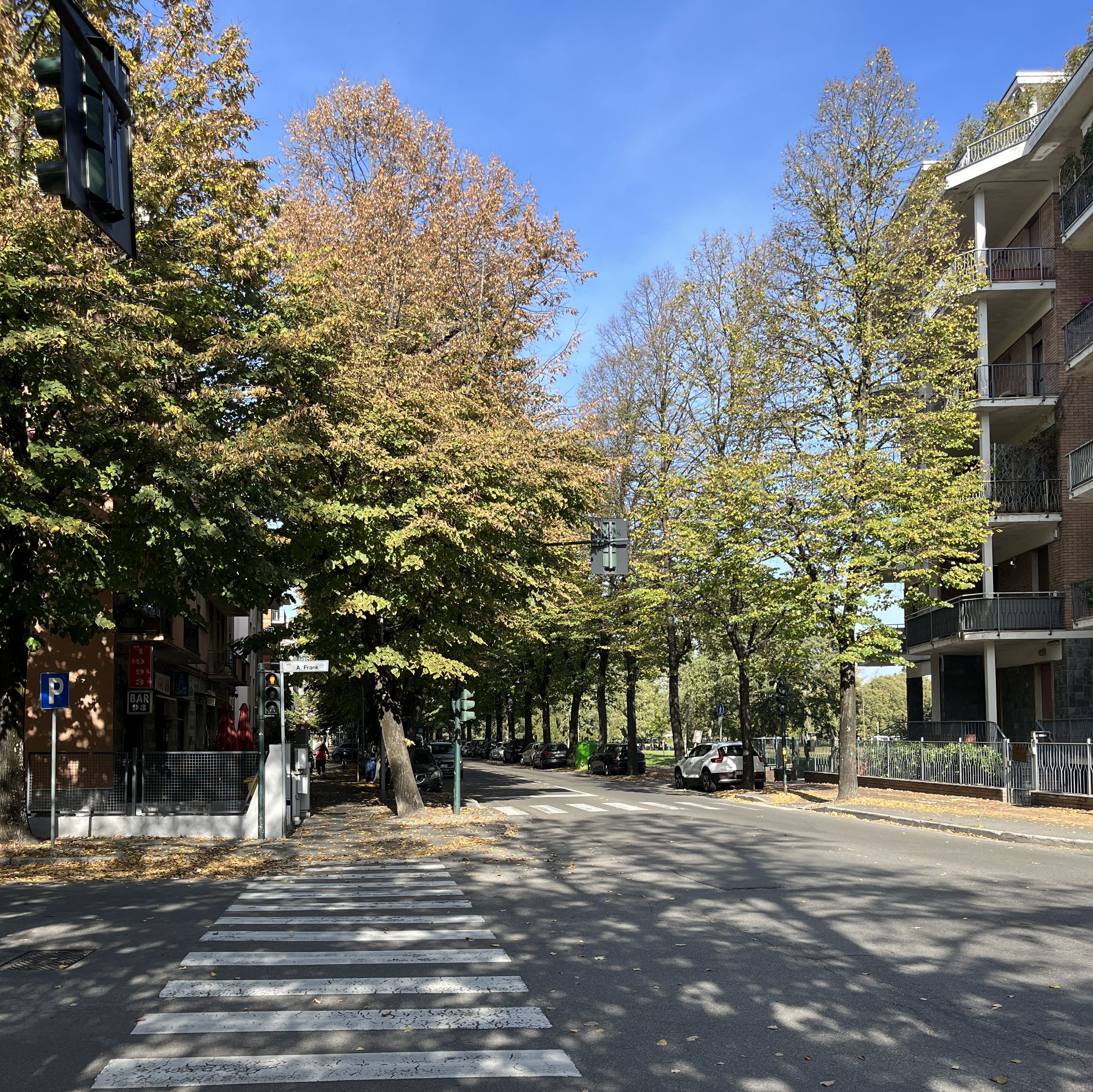 Allee in Parma mit klarem Himmel