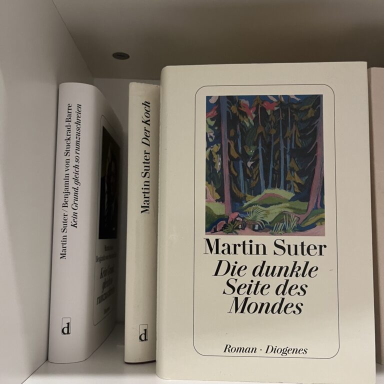 Die dunkle Seite des Mondes von Martin Suter